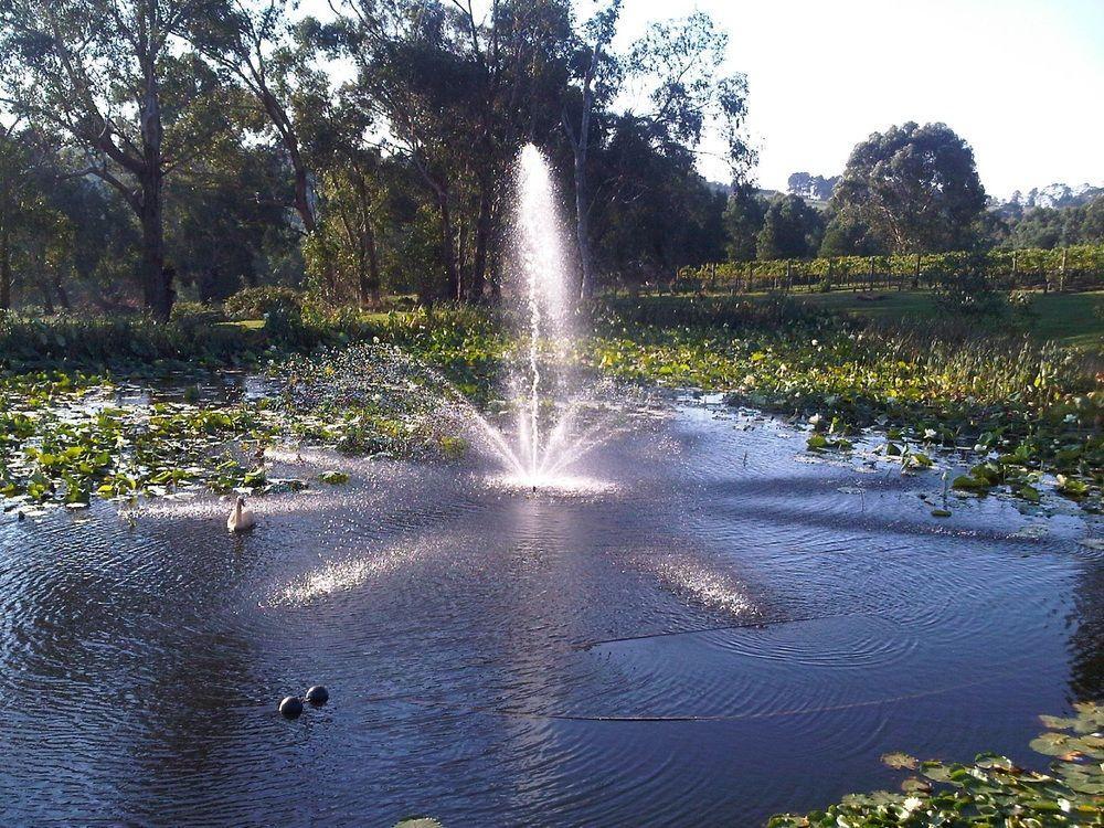 Bed and Breakfast Wild Cattle Creek Estate à Wandin Yallock Extérieur photo